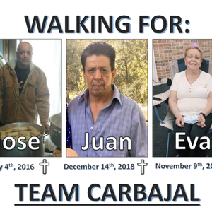 Team Page: Team Carbajal